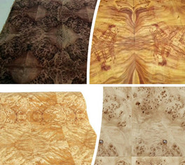 Burl-Wood-Veneer burl wood veneer