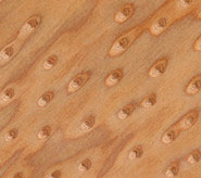 brown cat eye veneer