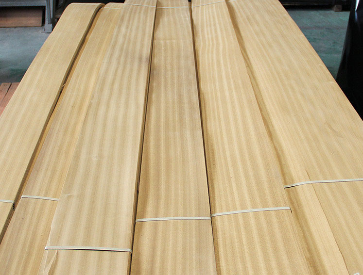 golden teak veneer wau beech