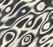 recon black white burl veneer