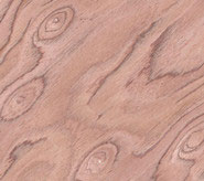 recon bubinga burl veneer