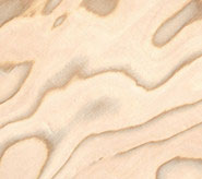 recon maple burl veneer