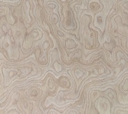 recon oak burl veneer