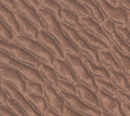 recon sapeli pommele veneer