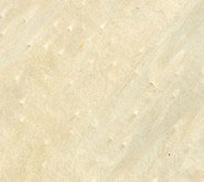 white bird eye veneer