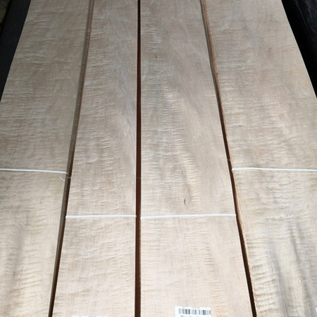 curly figured maple veneer