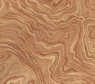 reconstituted olive burl veneer